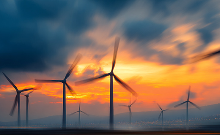 Environmental Impact of Wind Energy