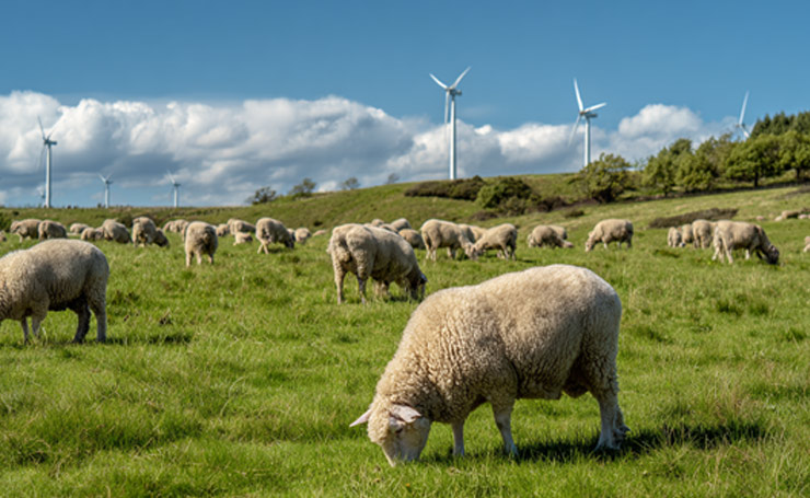 Advantages of Wind Energy