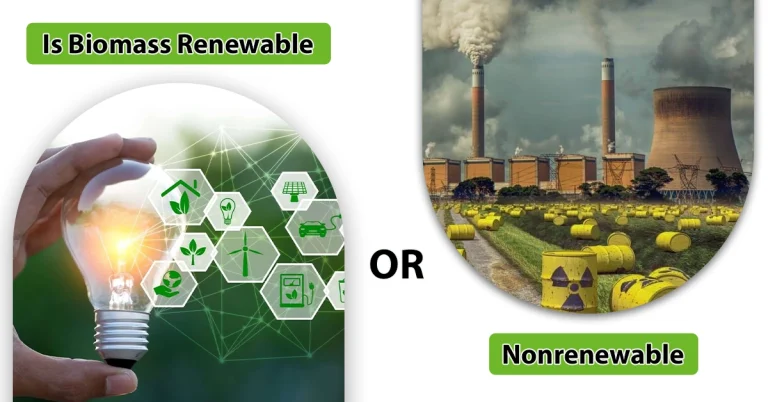 Is Biomass Renewable or Nonrenewable? Full Energy Guide Is Biomass Renewable or Nonrenewable