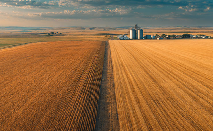 Land-use Competition