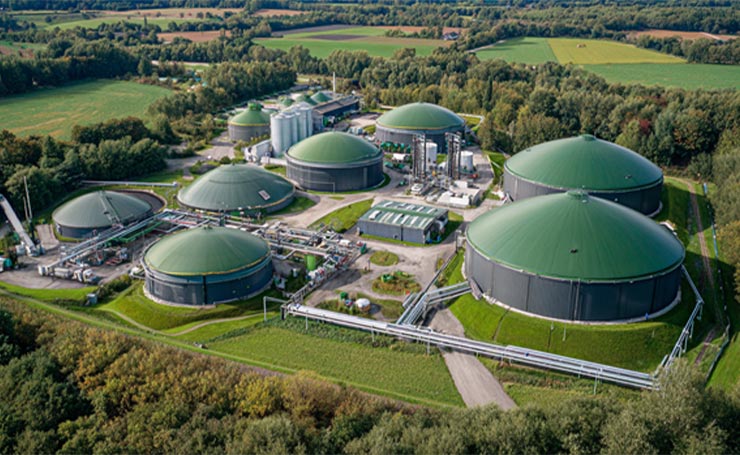 Biochemical Conversion: Anaerobic Digestion