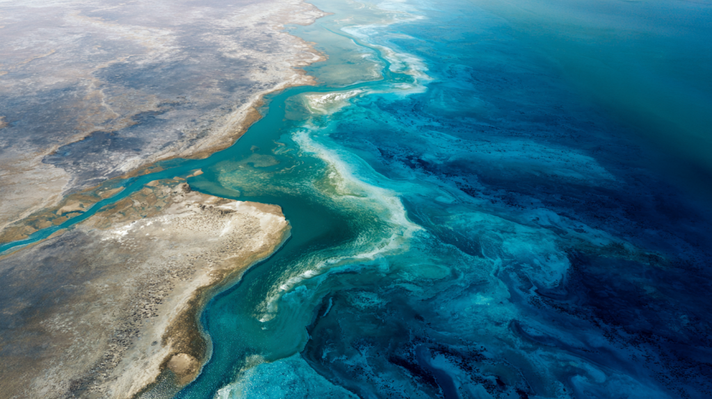 Freshwater vs Saltwater