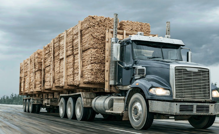 how-biomass-energy-works